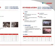 jiuyou-progdvb中文版