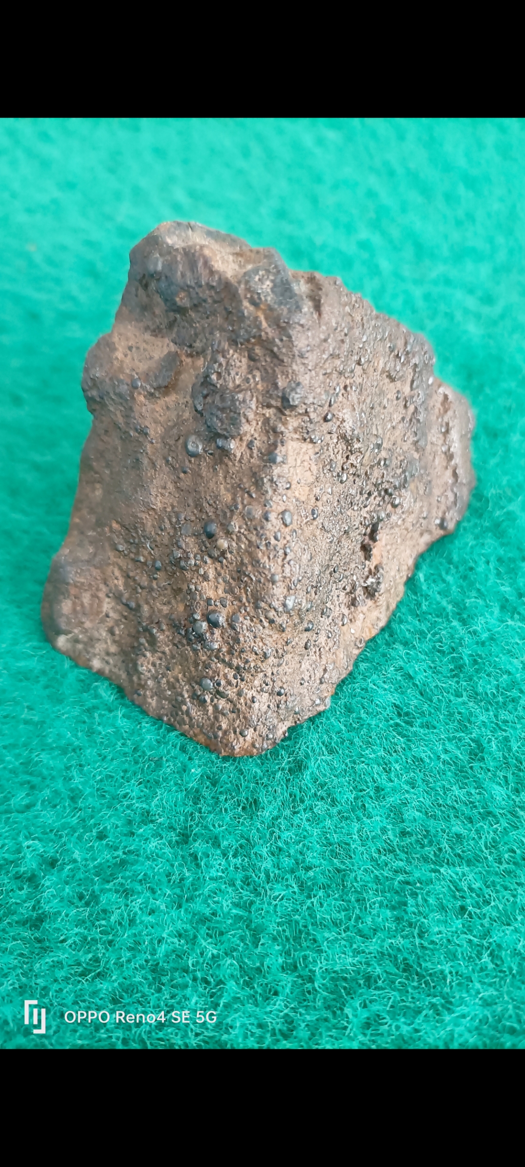 九游app下载-頻>XV陨(bib视频下载)